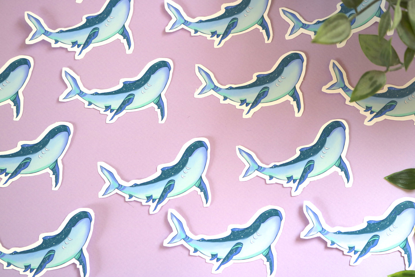Shark Sticker - animal sticker