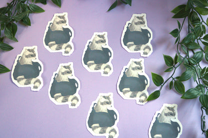 Raccoon Sticker - Animal Stickers
